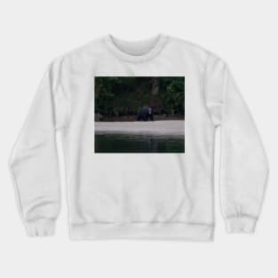 Black Bear Vancouver Island Crewneck Sweatshirt